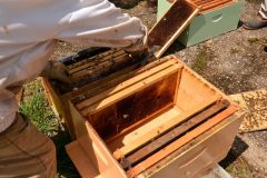 nucs-02-21-web