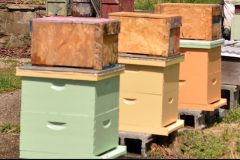 nucs-2021-web